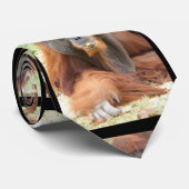 Pongoのオランウータンのサル ネクタイ (ロール)