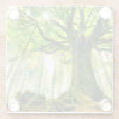 Ponthusのブナ ガラスコースター (裏面)