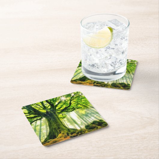 Ponthusのブナ スクエアペーパーコースター (インサイチュ)