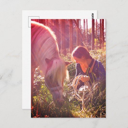 Pony im Wald ポストカード (正面/裏面)