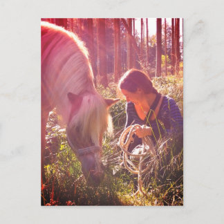 Pony im Wald ポストカード