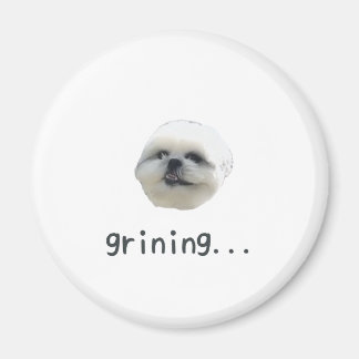 PONZU magnet マグネット