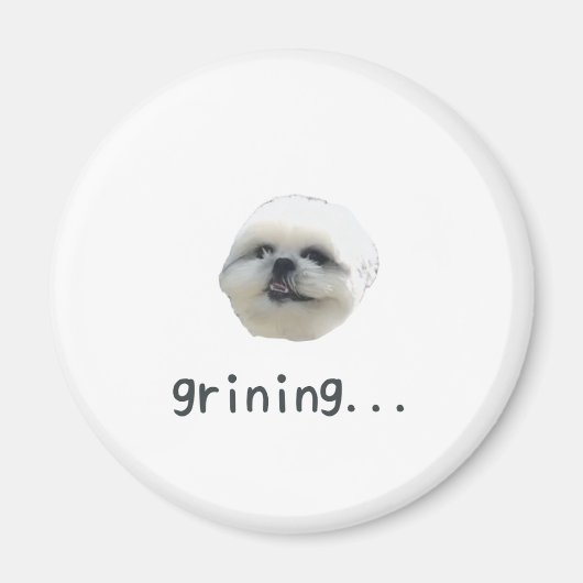 PONZU magnet マグネット (正面)