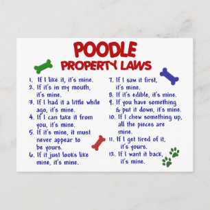 POODLE財産法2 ポストカード