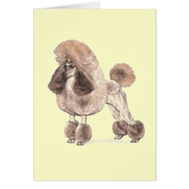 Poodle - – コートを表示 (正面)