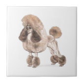 Poodle - – コートを表示 タイル (正面)