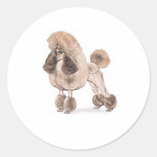 Poodle - – コートを表示 ラウンドシール (正面)