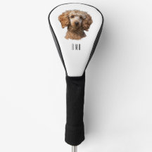 Poodle