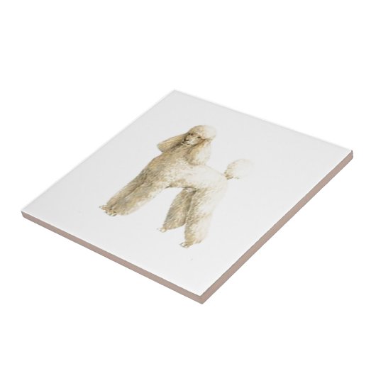 Poodle - – パピークリップ タイル (側面)