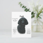 Poodle (blk)履歴デザイン ポストカード (スタンド正面)