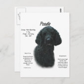 Poodle (blk)履歴デザイン ポストカード (正面/裏面)
