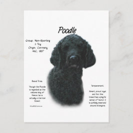 Poodle (blk)履歴デザイン ポストカード
