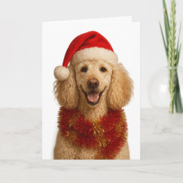 Poodle Christmas card カード