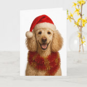 Poodle Christmas card カード (黄色い花)