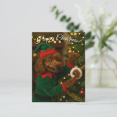 Poodle Christmas postcard シーズンポストカード (スタンド正面)