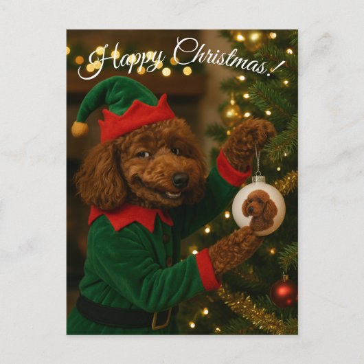 Poodle Christmas postcard シーズンポストカード (正面)