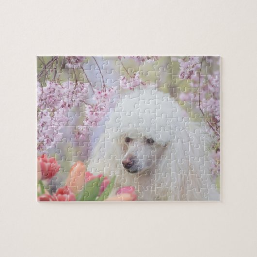 Poodle dog jigsaw puzzle ジグソーパズル (横)