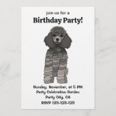 Poodle Dog Pet Birthday Party 招待状 (正面)
