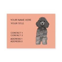 Poodle Dog Pet Grooming