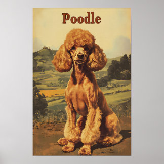 Poodle Dog Vintage Art ポスター