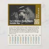 Poodle Flyer チラシ (正面)