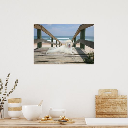 Poodle On Boardwalkポスター ポスター (キッチン)