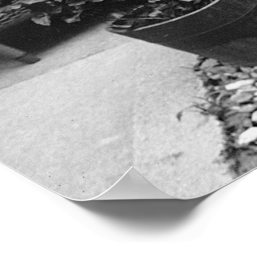 Poodle Playtime, 1920s ポスター (角)