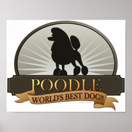 Poodle.png ポスター (正面)