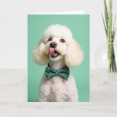 Poodle Portrait Perfect Pet Card カード (正面)
