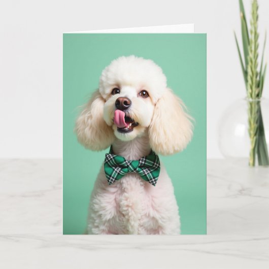 Poodle Portrait Perfect Pet Card カード (正面)