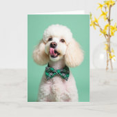 Poodle Portrait Perfect Pet Card カード (黄色い花)