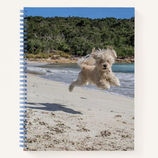 Poodle Spiral Notebook ノートブック (正面)