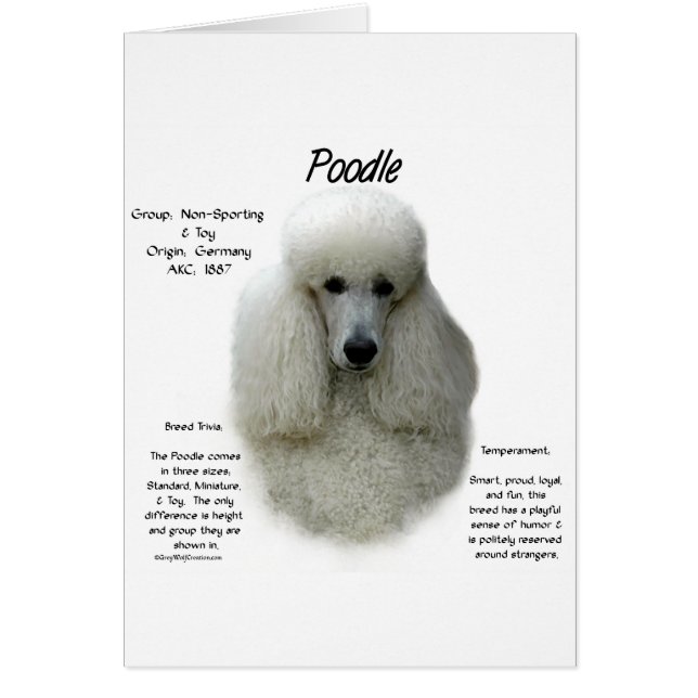 Poodle (wht)履歴デザイン (正面)