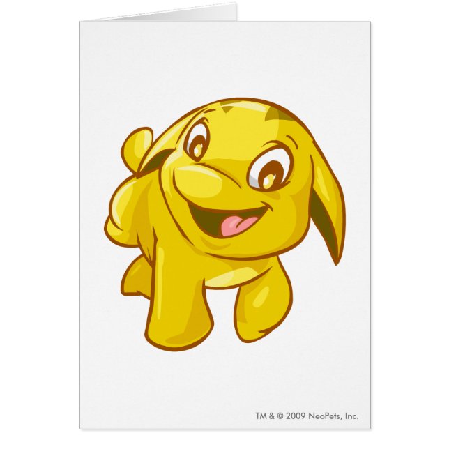 Poogleの金ゴールド (正面)