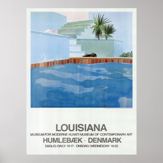 Pool And Steps ポスター (正面)