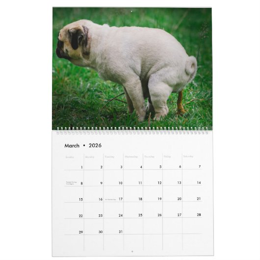 Pooping Dogs Calendar 2023,おもしろい犬 カレンダー (3月 2026)
