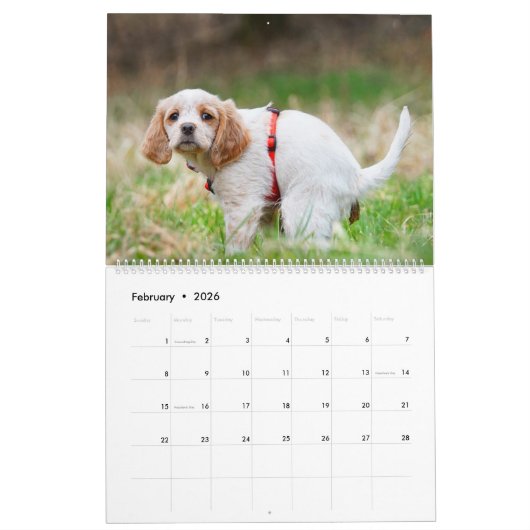 Pooping Dogs Calendar 2023,おもしろい犬 カレンダー (2月 2026)