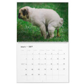 Pooping Dogs Calendar 2023,おもしろい犬 カレンダー (3月 2027)
