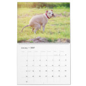 Pooping Dogs Calendar 2023,おもしろい犬 カレンダー (1月 2027)