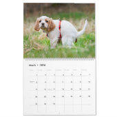 Pooping Dogs Calendar 2023,おもしろい犬 カレンダー (3月 2026)