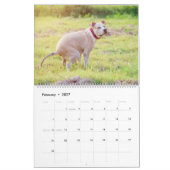 Pooping Dogs Calendar 2023,おもしろい犬 カレンダー (2月 2027)