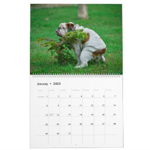 Pooping Dogs Calendar 2023,おもしろい犬 カレンダー