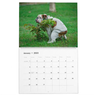 Pooping Dogs Calendar 2023,おもしろい犬 カレンダー