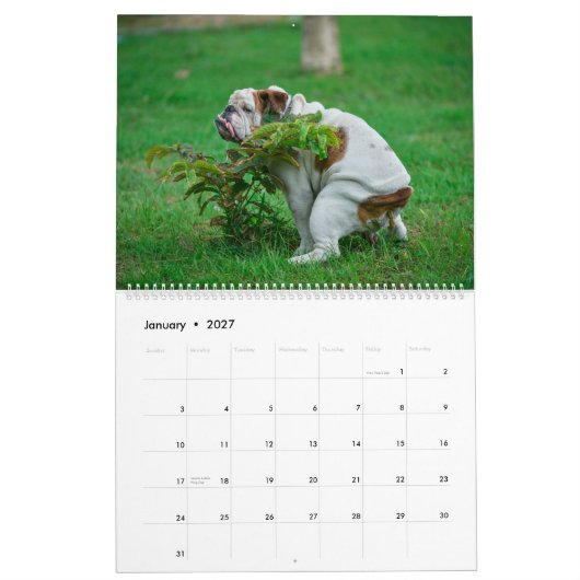 Pooping Dogs Calendar 2023,おもしろい犬 カレンダー (1月 2027)