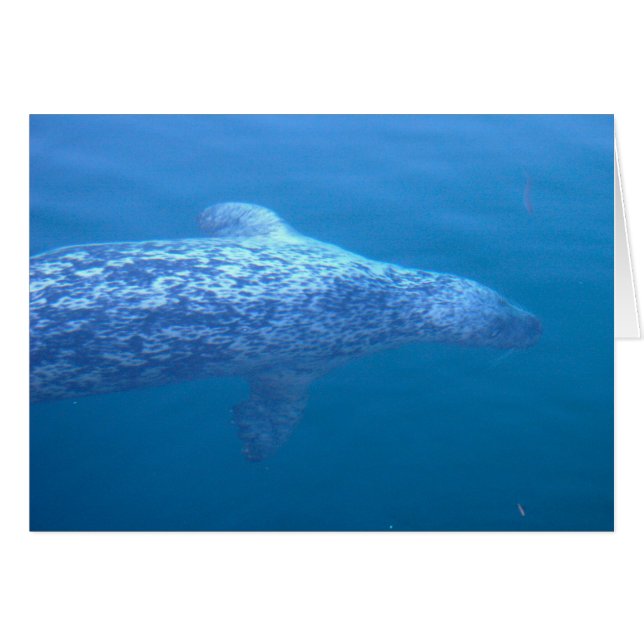 Popeyeシール (正面横)