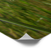 POPPIESオレンジポピー花アートプリントフレーム芸術 ポスター (角)