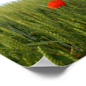 Poppies in a Wheat Field Value Poster Paper ポスター (角)