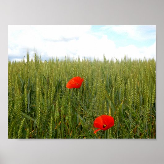 Poppies in a Wheat Field Value Poster Paper ポスター (正面)