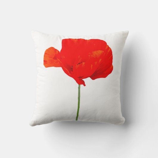 POPPYコレクション06枕 クッション (裏面)