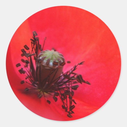 Poppyスタンプ ラウンドシール (正面)